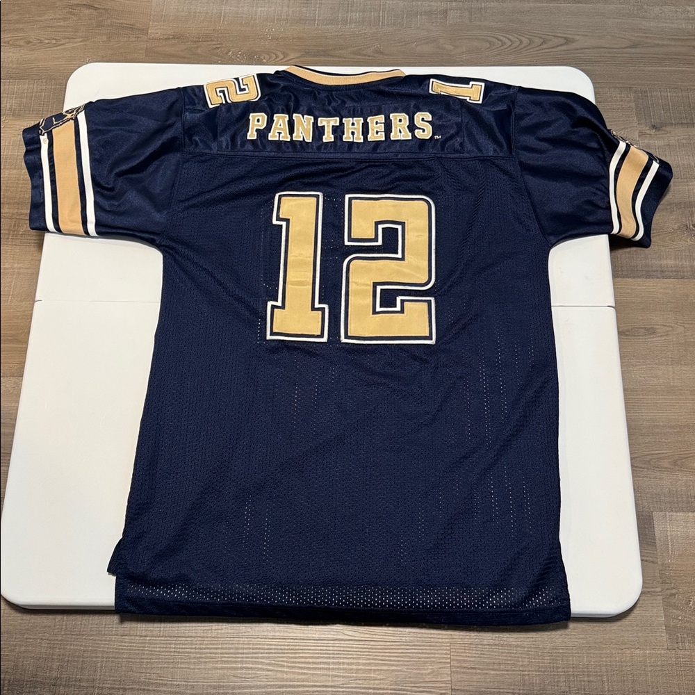 Vintage Colosseum Athletics Mens Pittsburgh Panthers Mesh Football Jersey PITT - Picture 7 of 8
